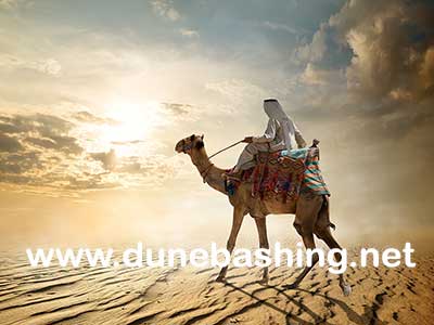 camel rides tour