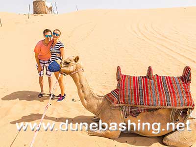 camel rides in dubai