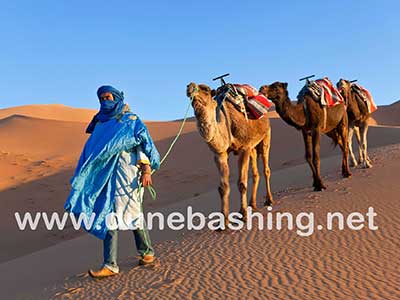 camel ride in morning desert tour