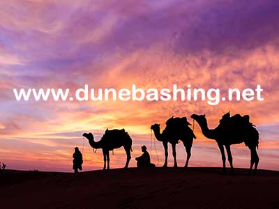 camel-ride-in-dubai-desert