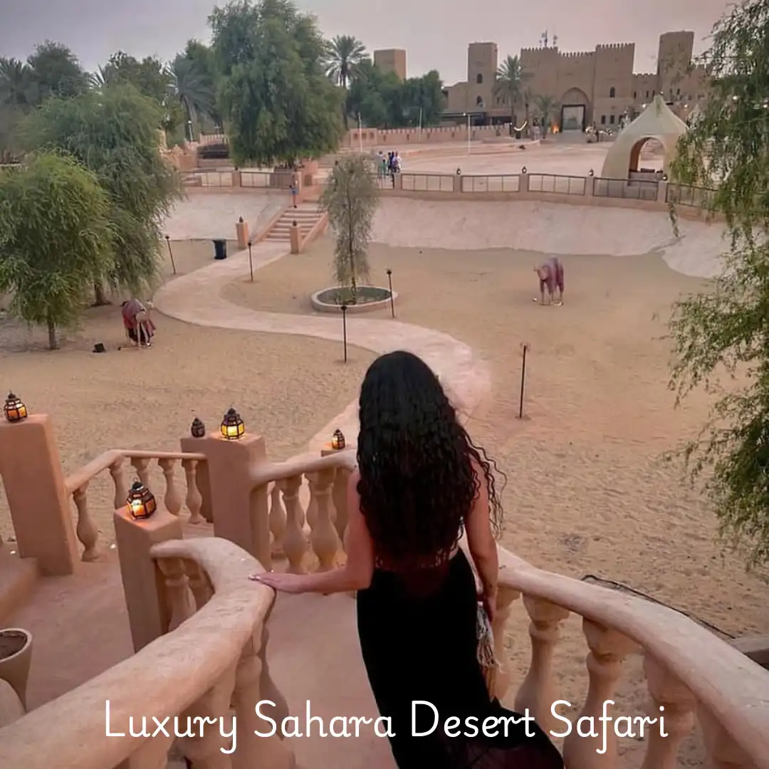 Unearthing The Desert Jewel A Deep Dive Into The Legendary 2004 Safari Sahara Brochurefeed