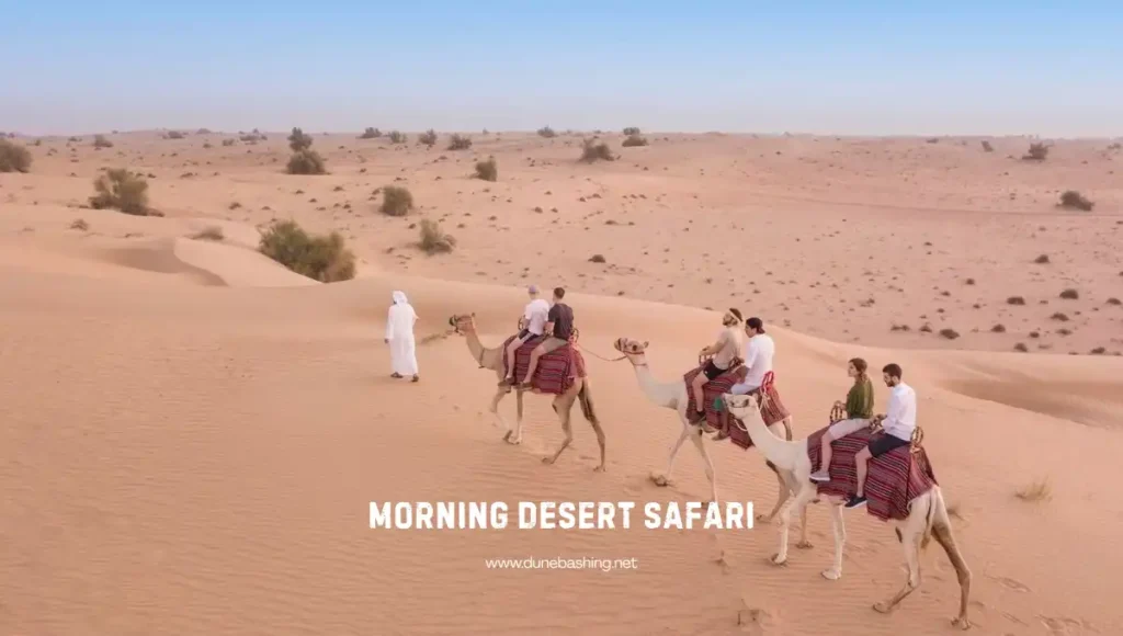 Early Morning Desert Safari